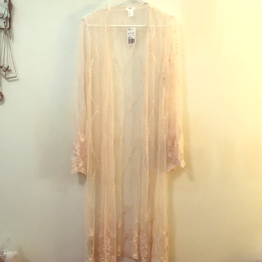 Gorgeous sheer blush lace cover up